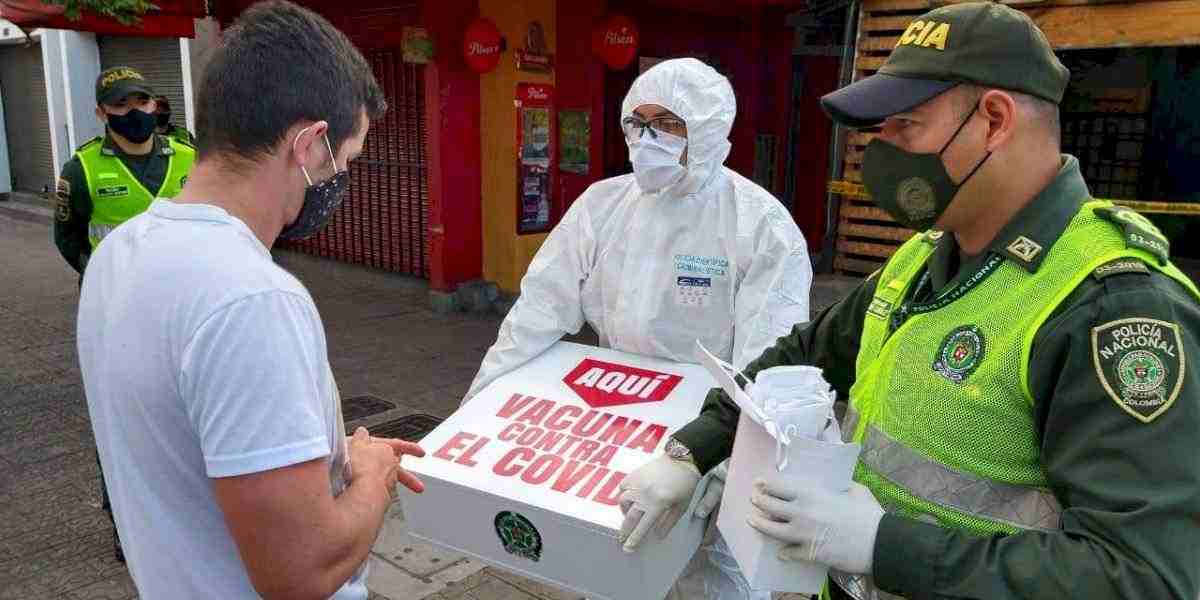 ¿Cómo distinguir el formulario oficial del Ingreso Solidario?