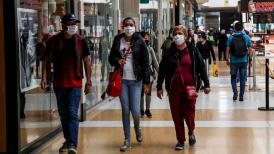 Ingreso Solidario: Formulario de consulta por cédula que no sirve