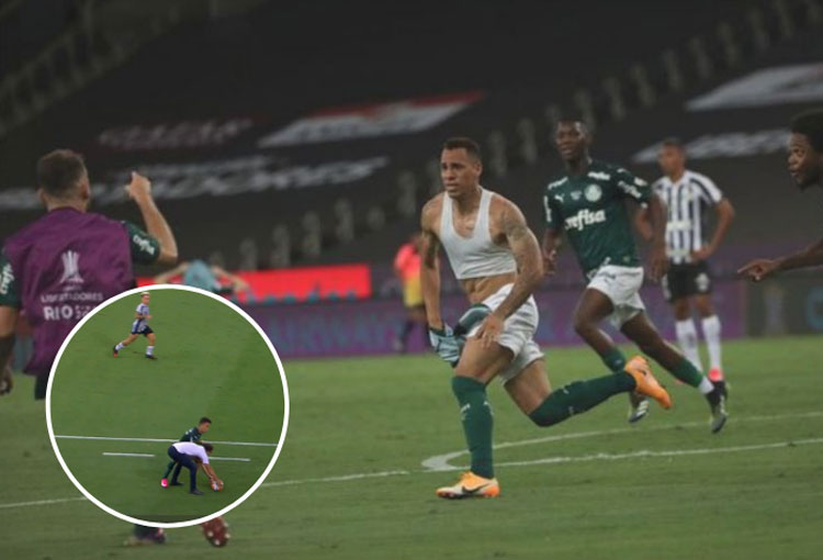 Expulsión del DT de Santos y gol de Palmeiras en un minuto. ¡Así se definió la Libertadores!