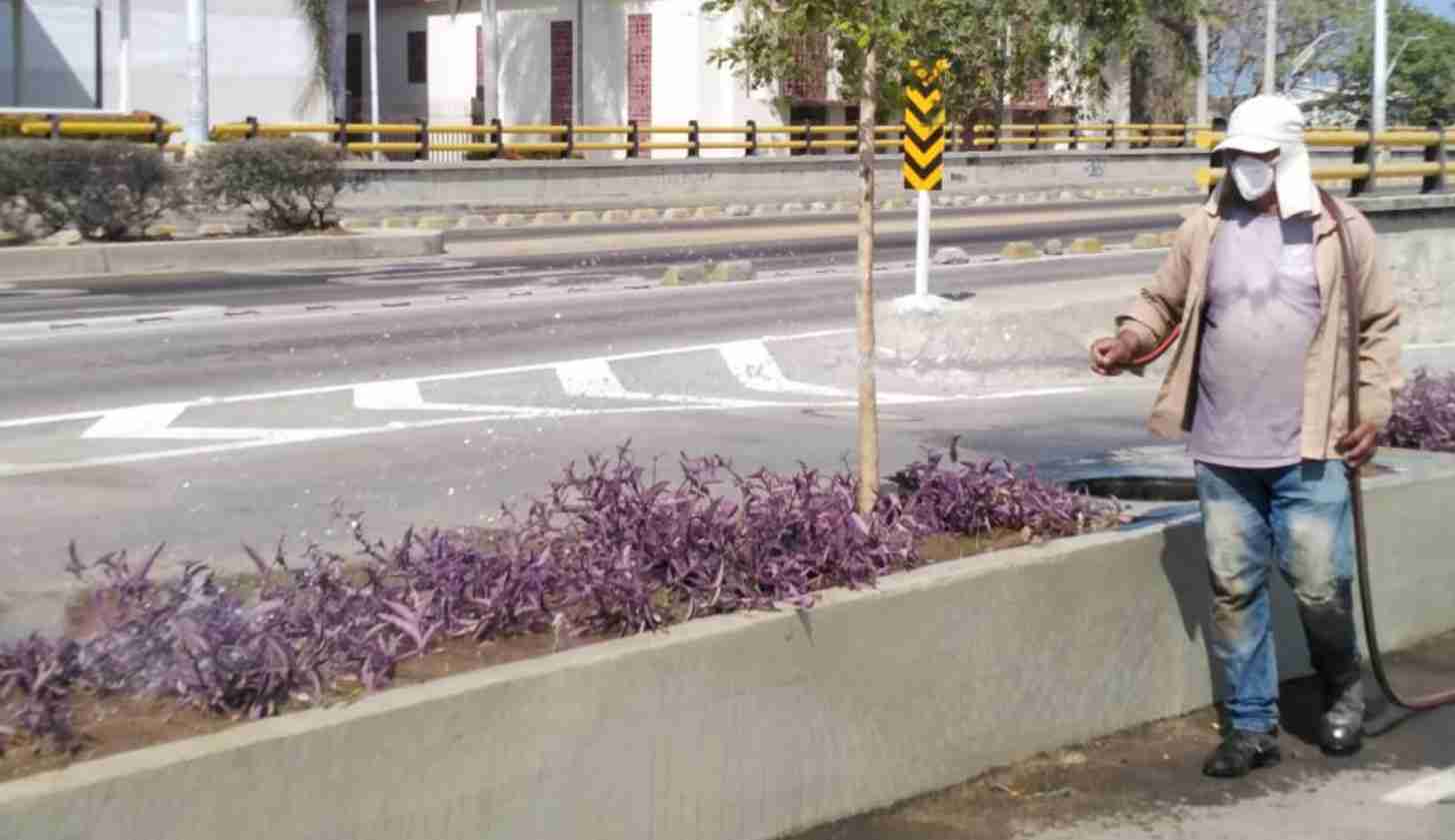 Ingreso Solidario: ¿Quiénes y cuándo reciben el pago este 22 de febrero?